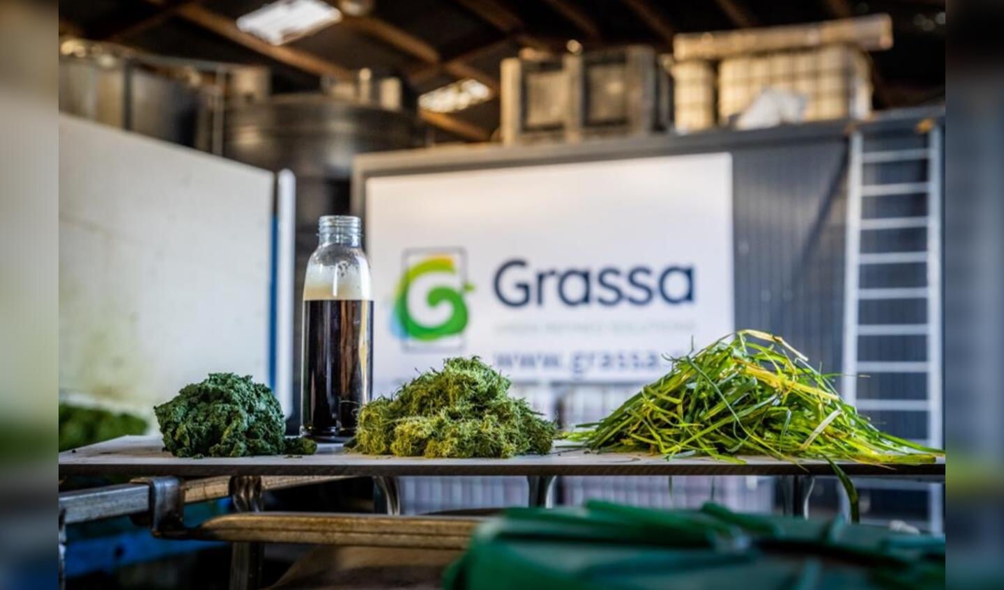 Grassa's graseiwit|De Limburgse kloostervarkens van Livar
|De producten van Grassa zijn ontsloten gras, graseiwit, prebiotisch suiker (FOS) en plantaardige meststof