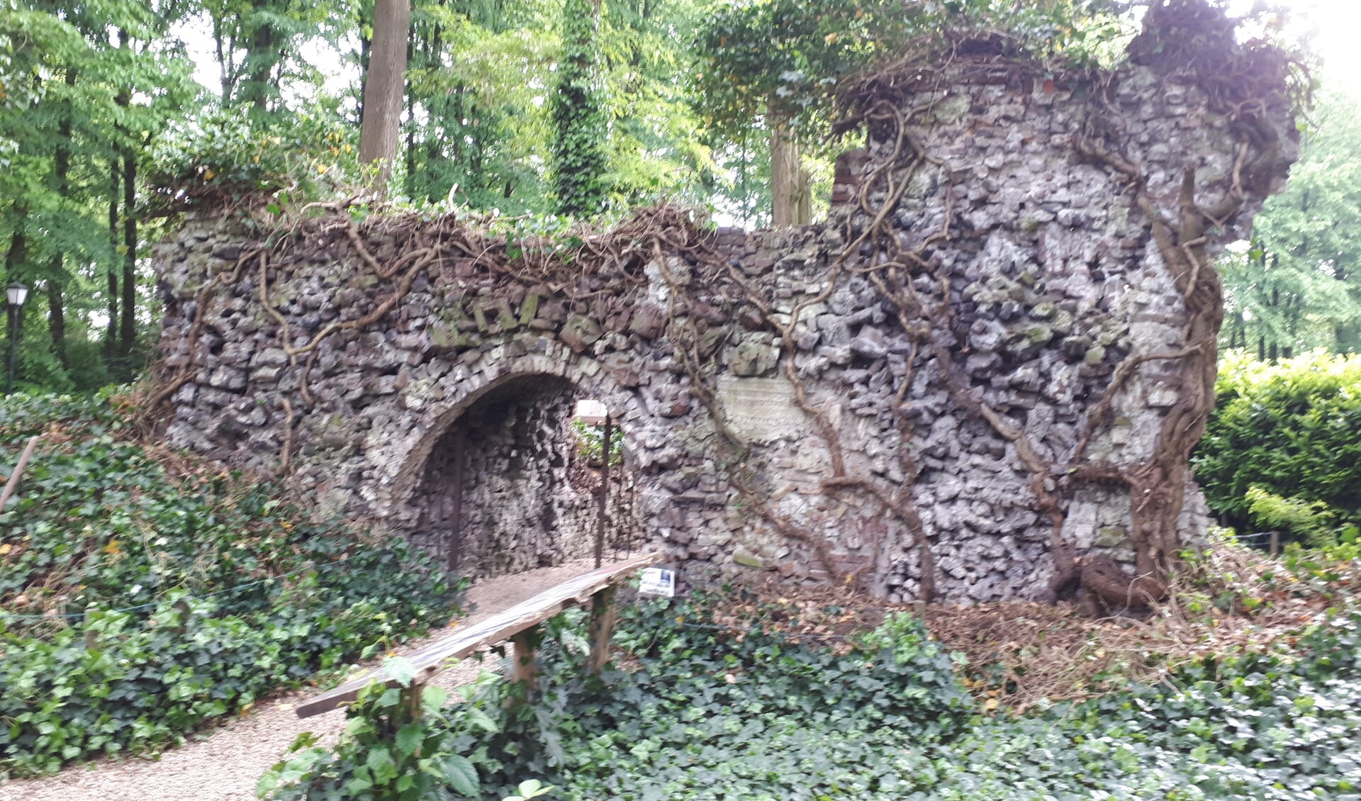 Afbeelding