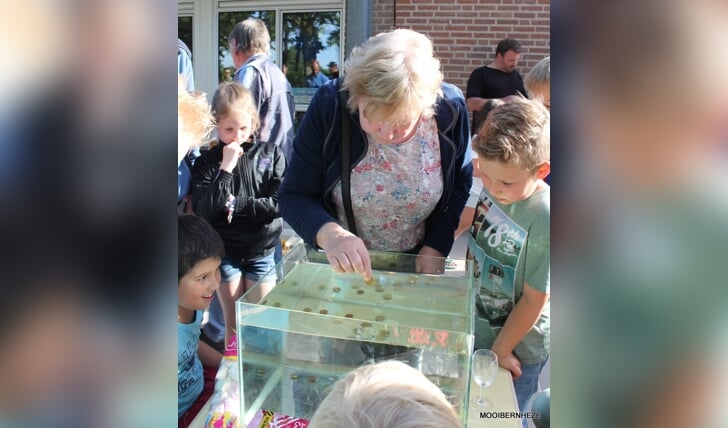 Heeswijk-Dinther - Actie Adoptie op basisschool 't Palet