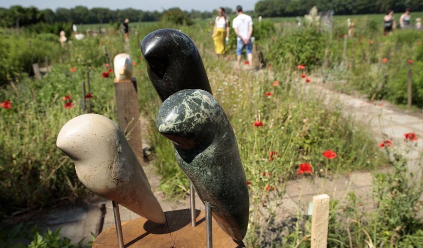 Heeswijk-Dinther - Expositie Beeldentuin