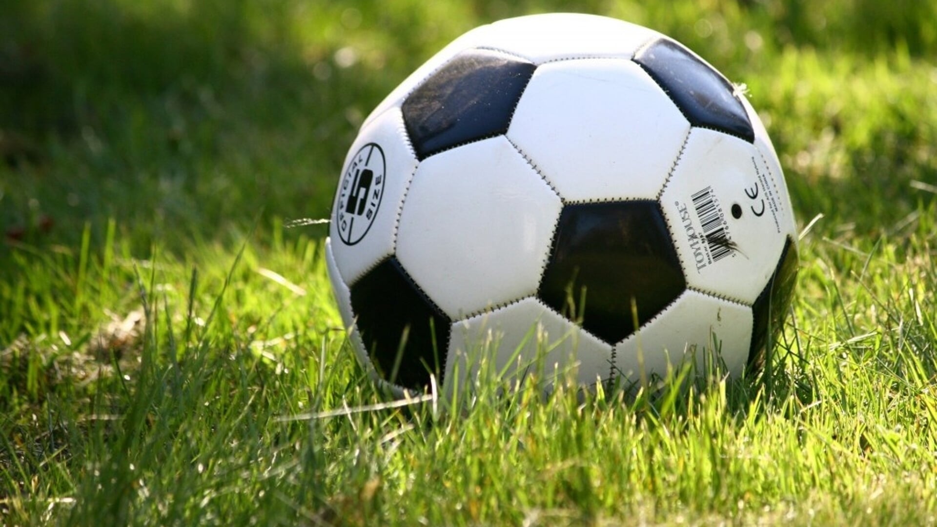 Sportverslagen Bernheze