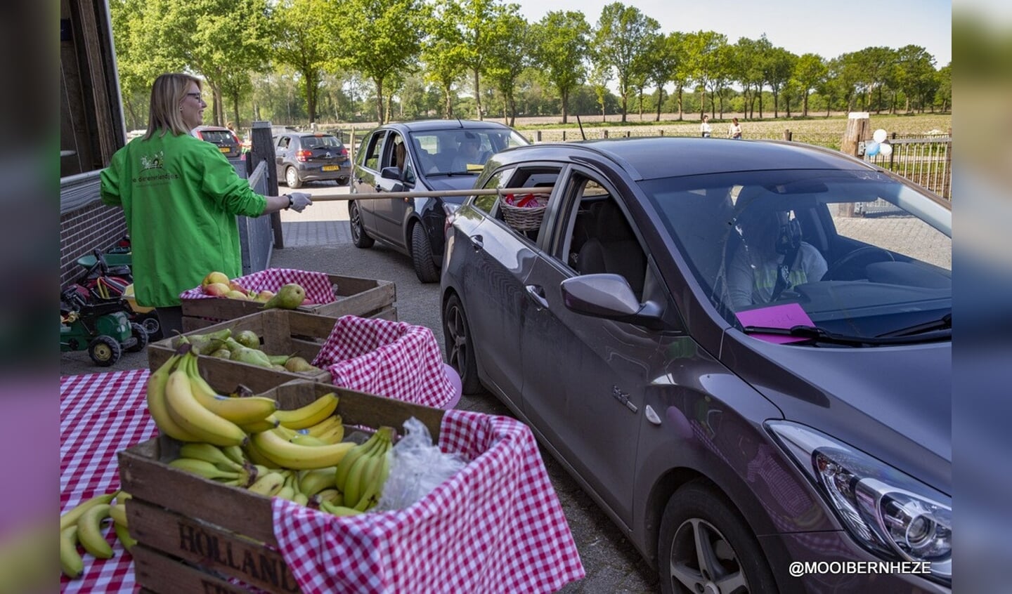 Nistelrode - Drive-in De Dierenvriendjes