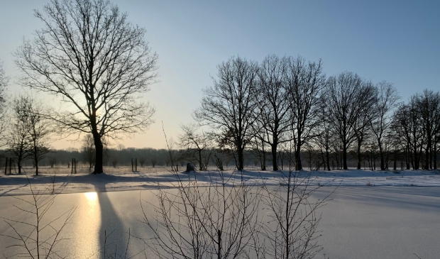 Bedafse bergen