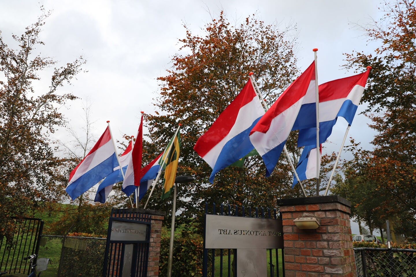 Afbeelding