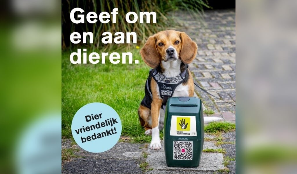 Collecteweek Dierenbescherming Van Start - Mooi Bernheze