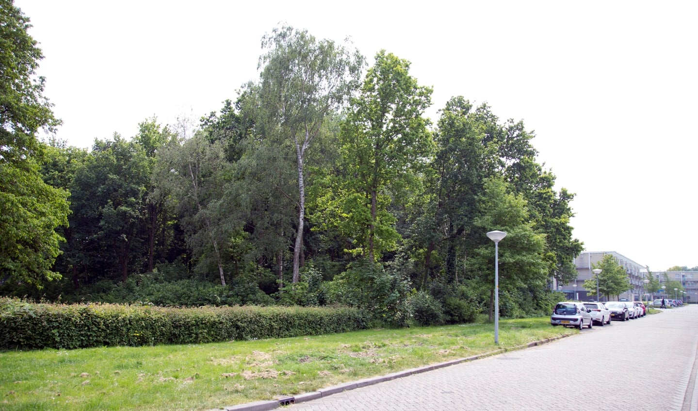 Het bosperceel waar het complex moet komen (Foto: Fred Rotgans)