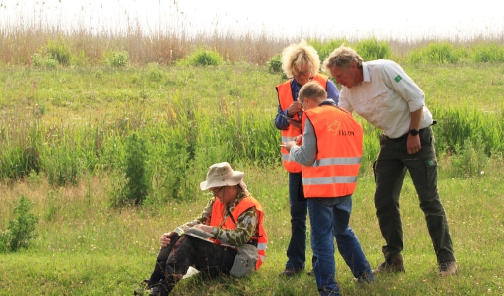 Bijna 1500 waarnemers hebben meer dan 50.000 waarnemingen ingevoerd. (Foto: Provincie Flevoland)