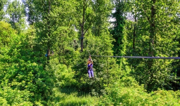 <p>Ook Fun Forest is genomineerd. (Foto: aangeleverd)</p>