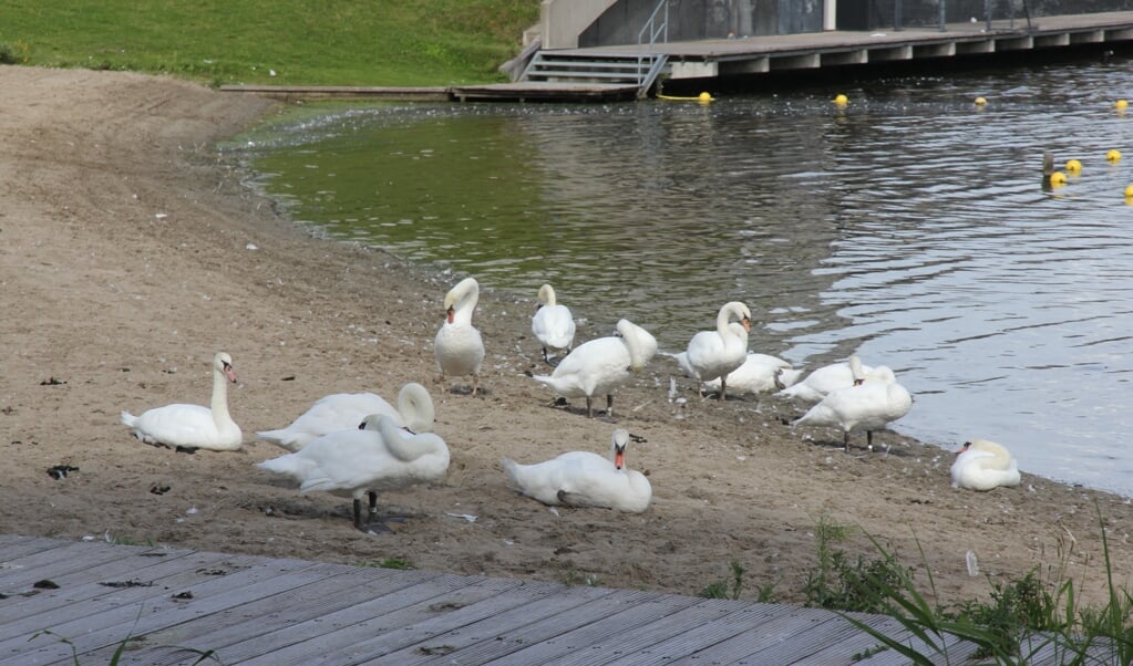 (Archieffoto: Almere DEZE WEEK)