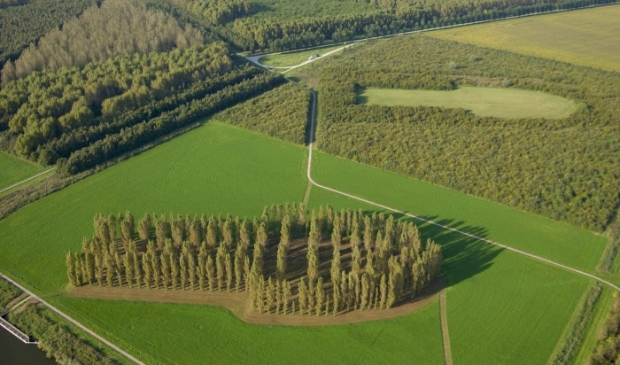 <p>Kwetsbare bomen bij De Groene Kathedraal worden vervangen door nieuwe aanplant. (Foto: Vincent Wigbels)</p>
