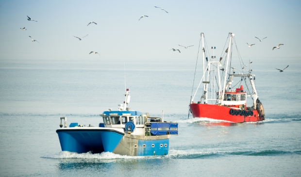 Het Brexit-geld voor Flevoland is vooral om de visserij bij Urk te steunen. (Foto: Adobe Stock/Steve Mann)