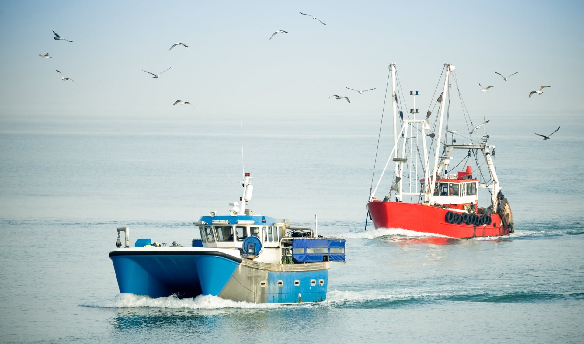 Het Brexit-geld voor Flevoland is vooral om de visserij bij Urk te steunen. (Foto: Adobe Stock/Steve Mann) 