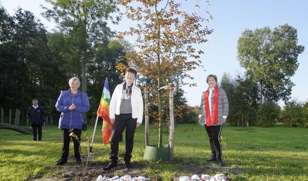 Wethouder Roelie Bosch onthulde vorig jaar het Walk of Peace-kunstwerk bij de boom van het Leger des Heils in Het Luierpark. (Archieffoto: Fred Rotgans)