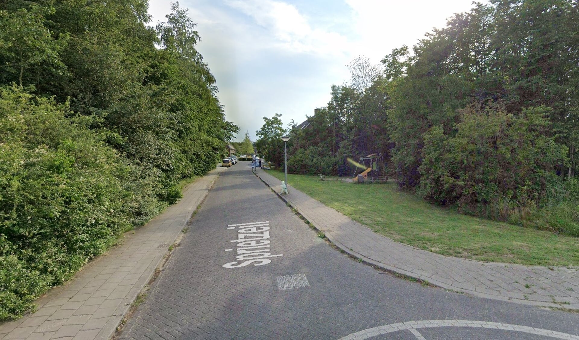 De straat Sprietzeil in Noorderplassen (Foto: Google Maps)