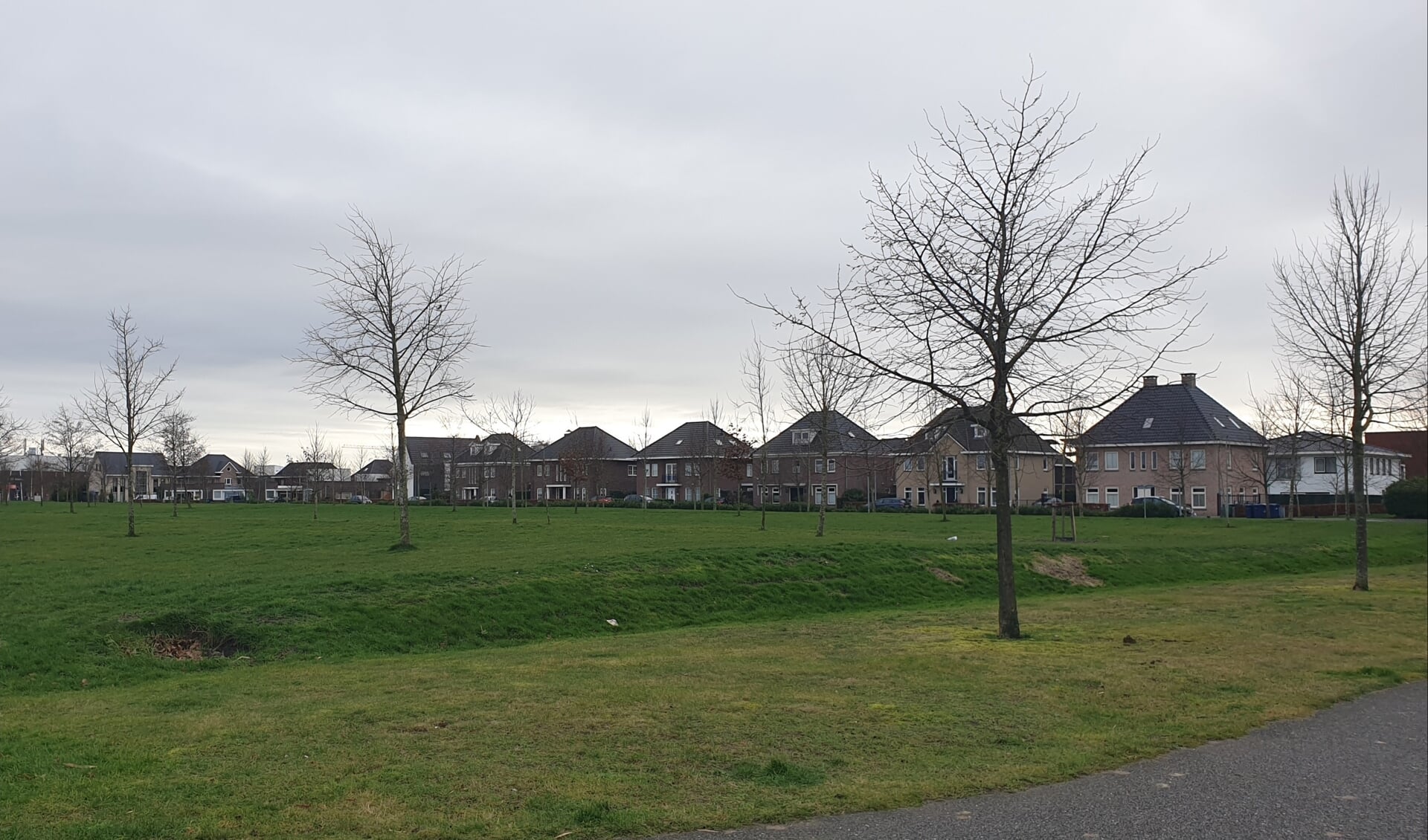 In het park tegenover de Vitus Beringstraat verrijzen straks twee woontorens van 30 meter. (Foto: Almere DEZE WEEK)