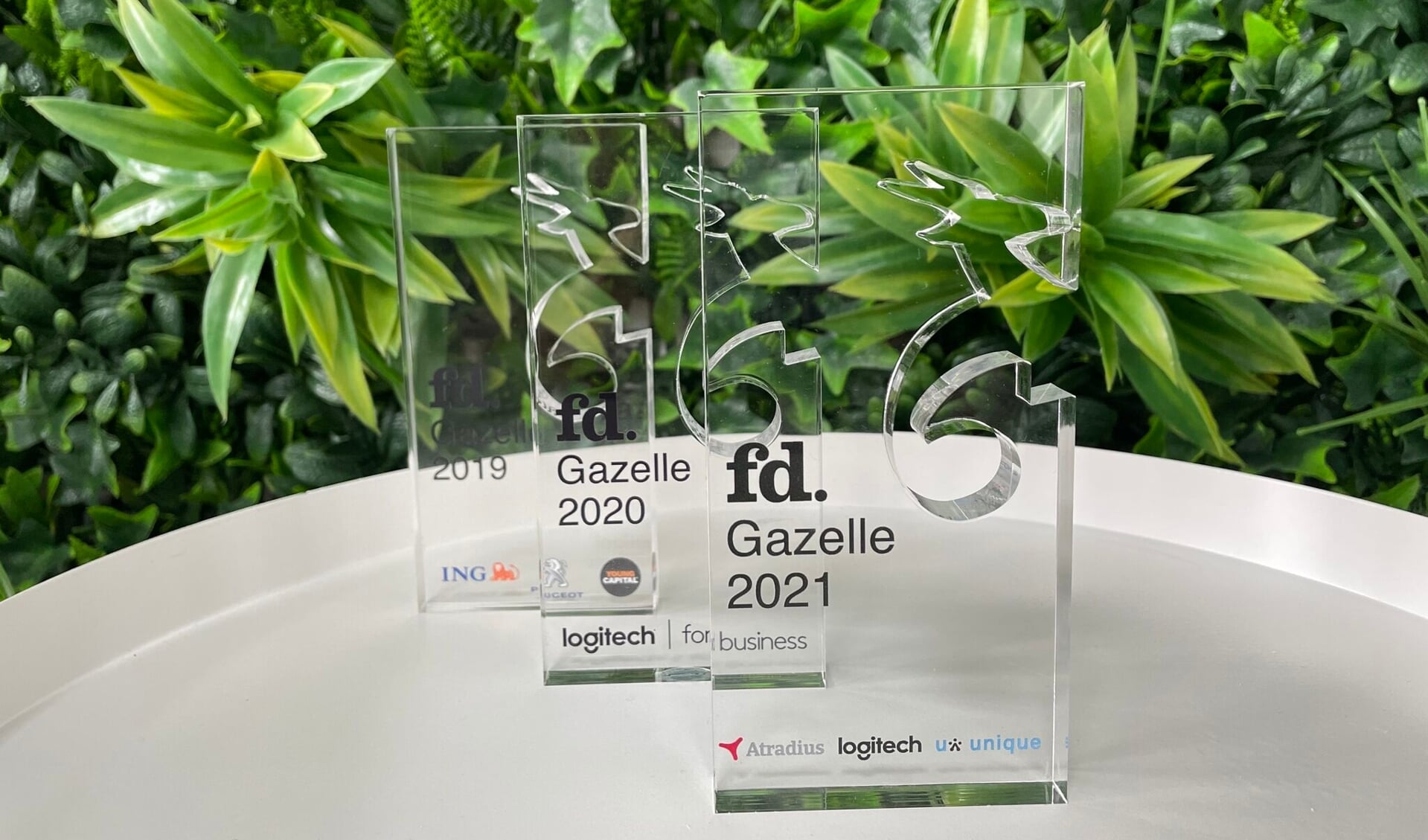 Derde FD Gazellen Award voor SenS Online Solutions (Foto: aangeleverd)