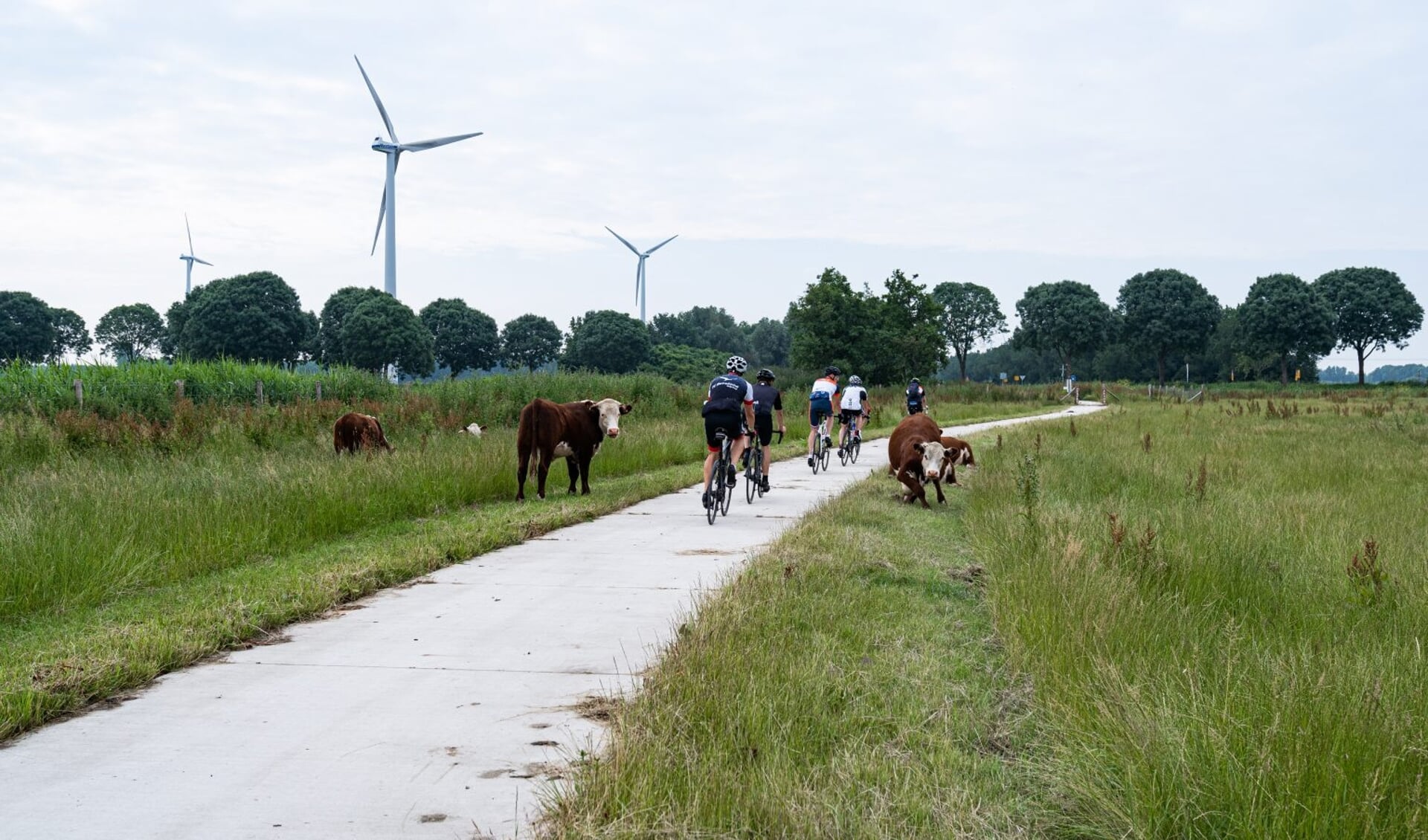 Het prachtig slingerende fietspad “De grote Trap” tussen Almere en Zeewolde (Foto: aangeleverd)
