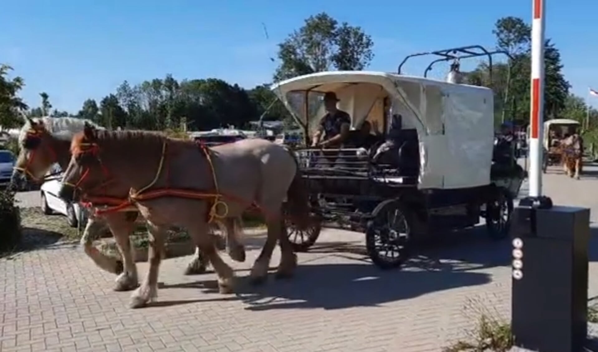 De stoet arriveerde dinsdag met de vredesklok op camping Waterhout in Almere. (Videostil: www.facebook.com/CampingWaterhout)