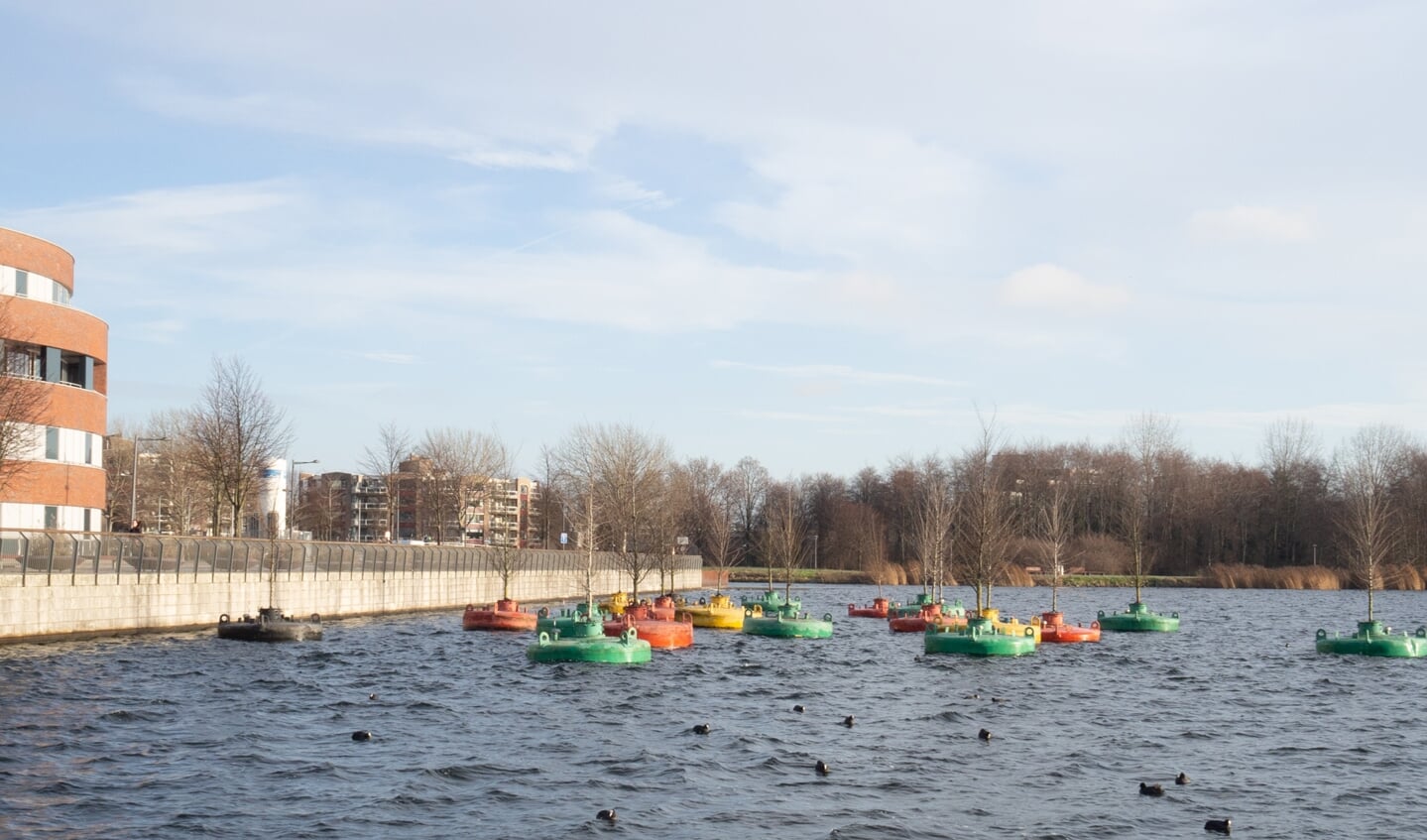 Dobberend Bos Tot Eind 2027 Op Nieuwe Locatie In Weerwater Almere