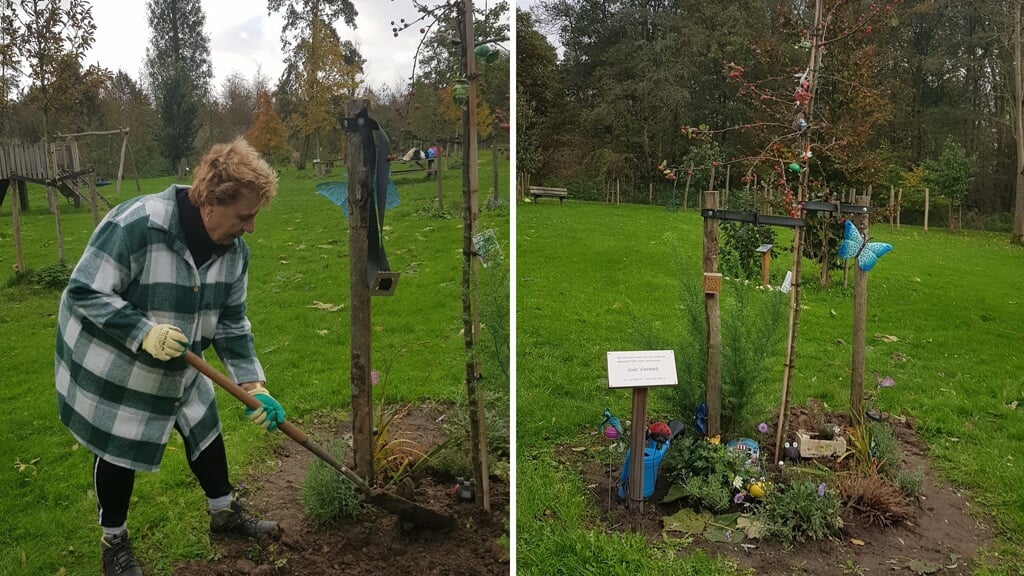 Tineke Ras van het Luierpark zette persoonlijk de schop in de grond om de nieuwe herinneringsboom voor Joël te planten. (Foto's: aangeleverd)