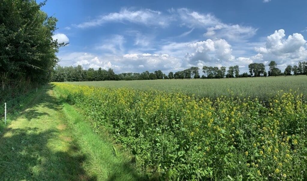 Vereniging Flevofood Verzamelt Ideeën Toekomstbestendig Platteland ...