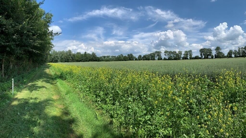 Flevoland denkt mee over de toekomst van het platteland (Foto: aangeleverd)