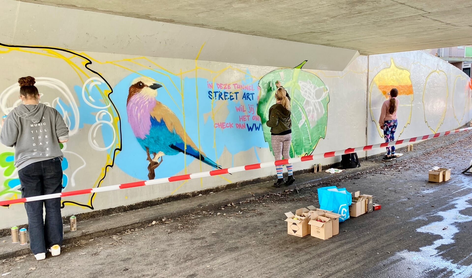 Almeerse jongeren hebben elk hun eigen kunstwerk aangebracht in de fietstunnel. (Foto: aangeleverd)