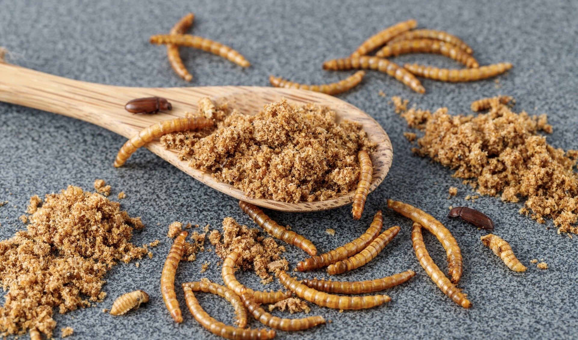 Meelwormen verwerkt in eten? Forum ziet het niet zitten. (Foto: AdobeStock)