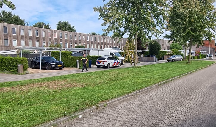 Afbeelding