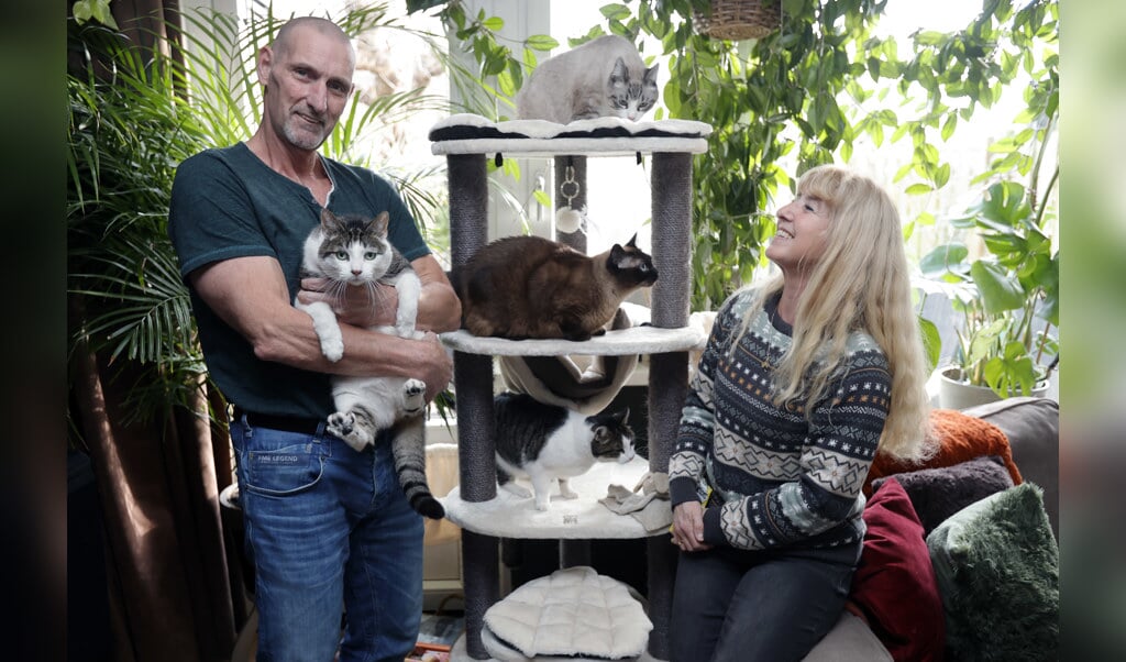 Agnes en Henk Visser zijn dol op hun katten. (Foto: Fred Rotgans)