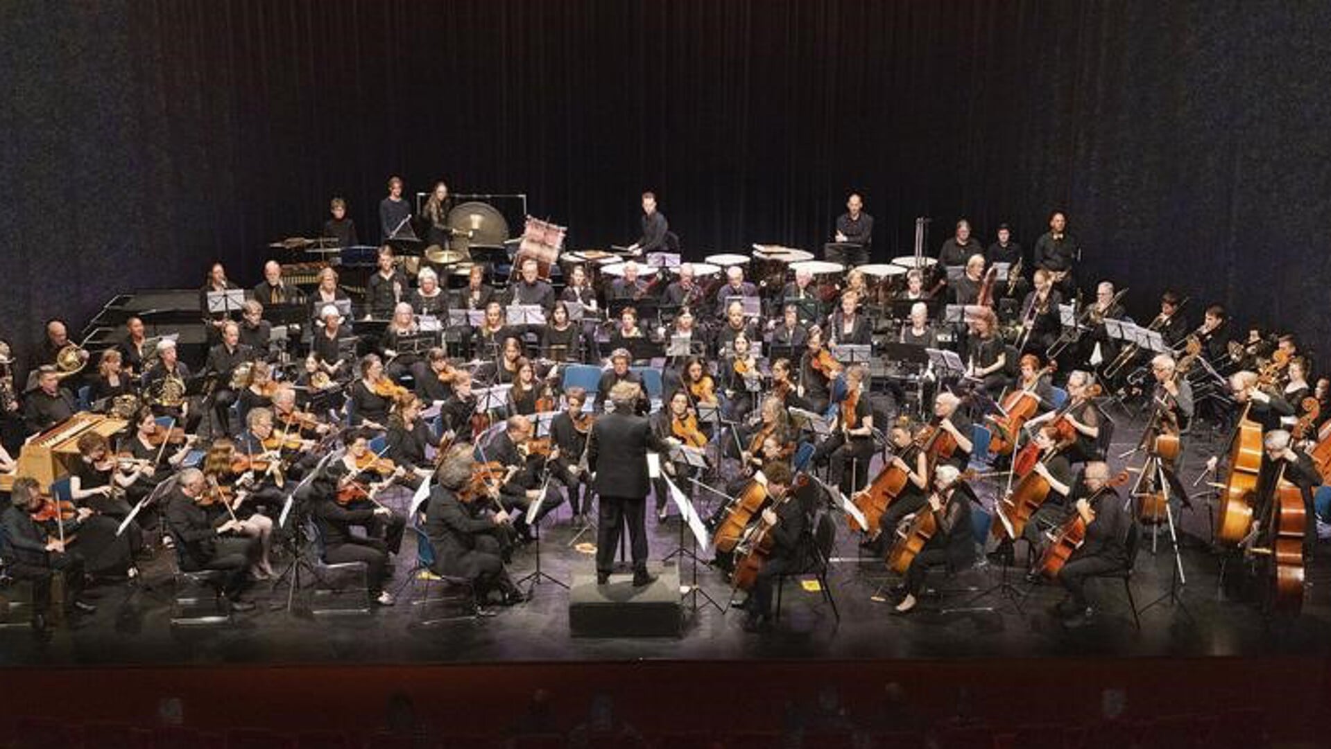 Het Via Musica orkest. 