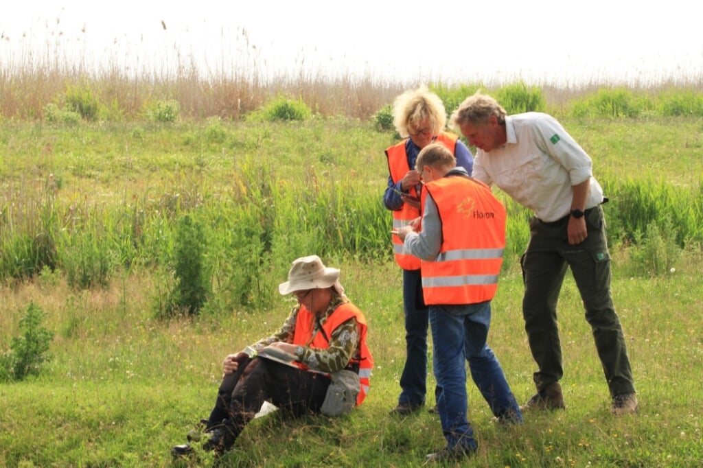 Bijna 1500 waarnemers hebben meer dan 50.000 waarnemingen ingevoerd. (Foto: Provincie Flevoland)