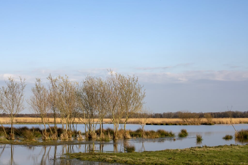 Het Almeerse stikstof daalt neer in natuurgebieden, zoals het Naardermeer. (Foto: AdobeStock)