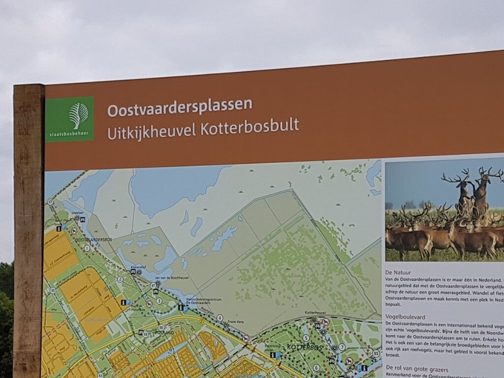 De IVN-excursie gaat ook naar de uitkijkheuvel Kotterbisbult. (Foto: aangeleverd)