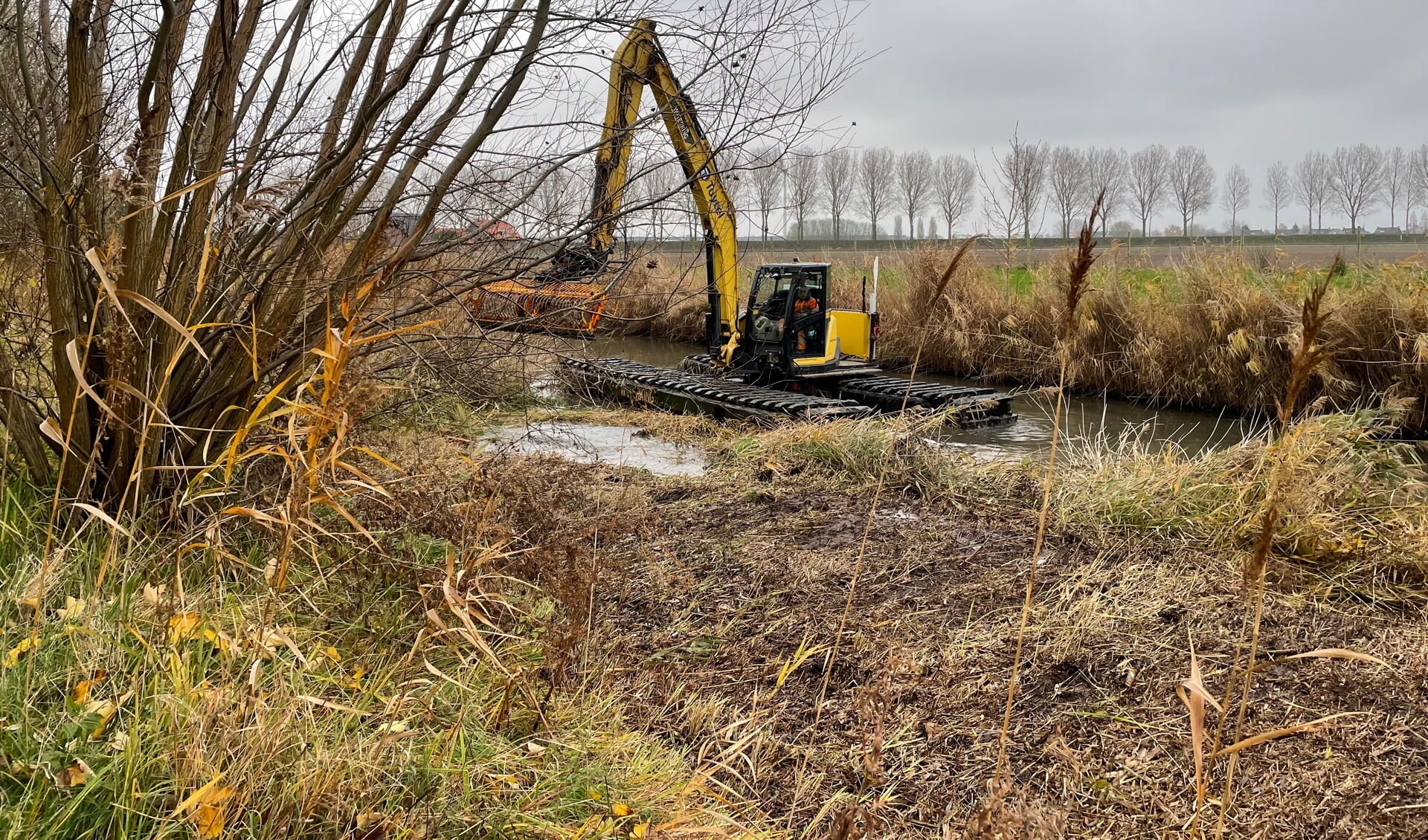 Rietmaaien in waterbergingsgebieden