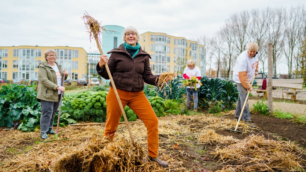 NL Doet. Van Tuin Tot Bord, Wijkcentrum De Schakel, Oranje Fonds. Foto Marco De Swart