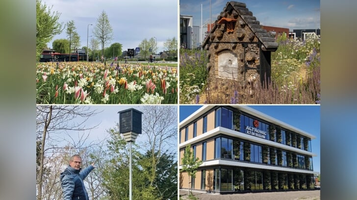 Gemeente Hendrik-Ido-Ambacht werkt hard aan meer biodiversiteit door bijvoorbeeld bloemrijke bermen, bijenlinten, het plaatsen van nestkasten en insectenhotels.