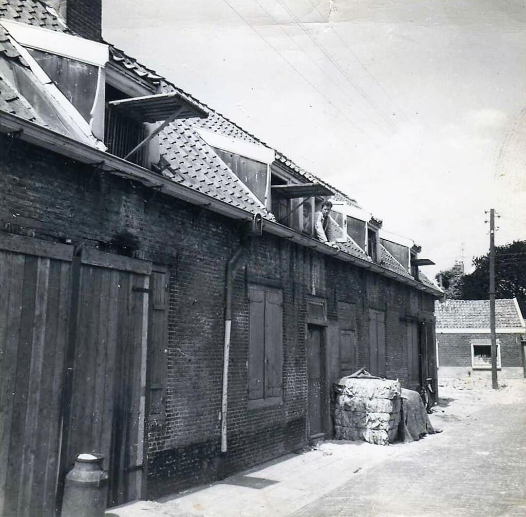 Piet Heester kijkt uit de ‘kappeluif’ (dakkapel) van één der huizen. In de verte het kruidenierswinkeltje van weduwe Pietje Timmers