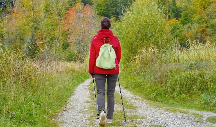 Wandelen in natuur