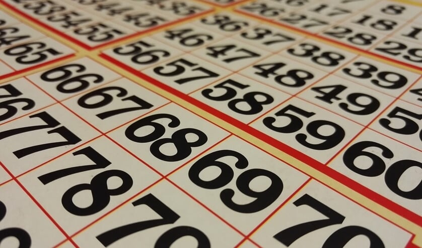 Bingo