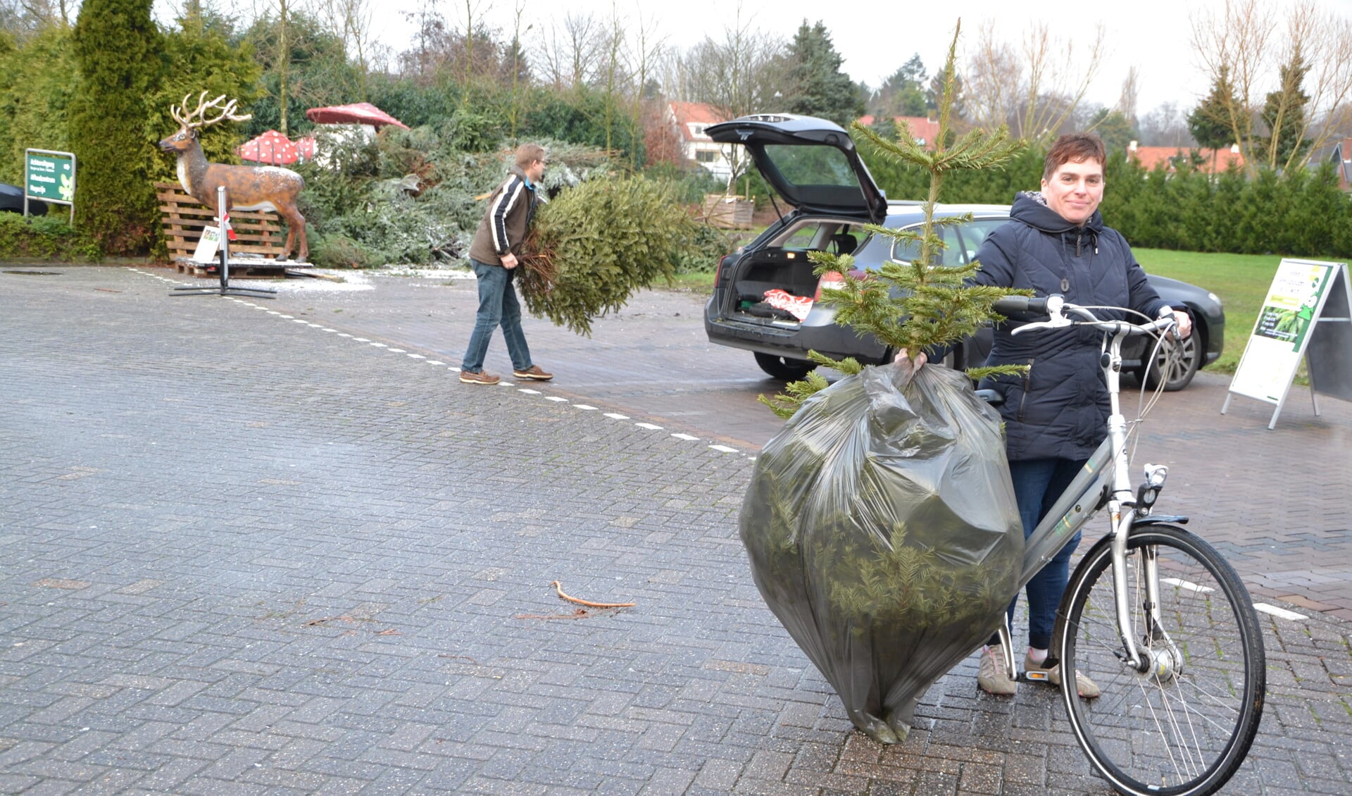 Wie de kerstboom duurzaam wil opruimen kan deze 5 januari inleveren.