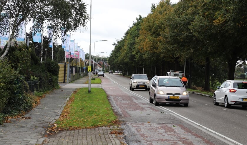 <p>De Halsterseweg is nodig aan herinrichting toe. </p>