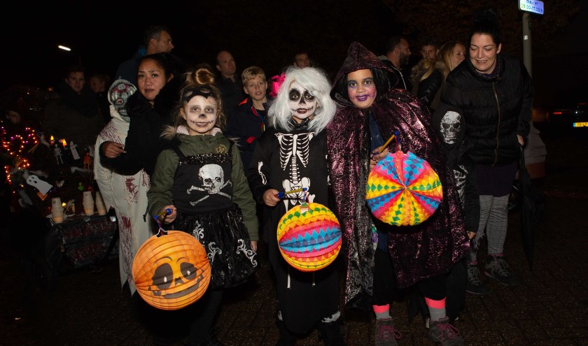 Er worden weer veel kinderen met verlichte lampions verwacht die daarmee in stoet langs versierde huizen en tuinen trekken.