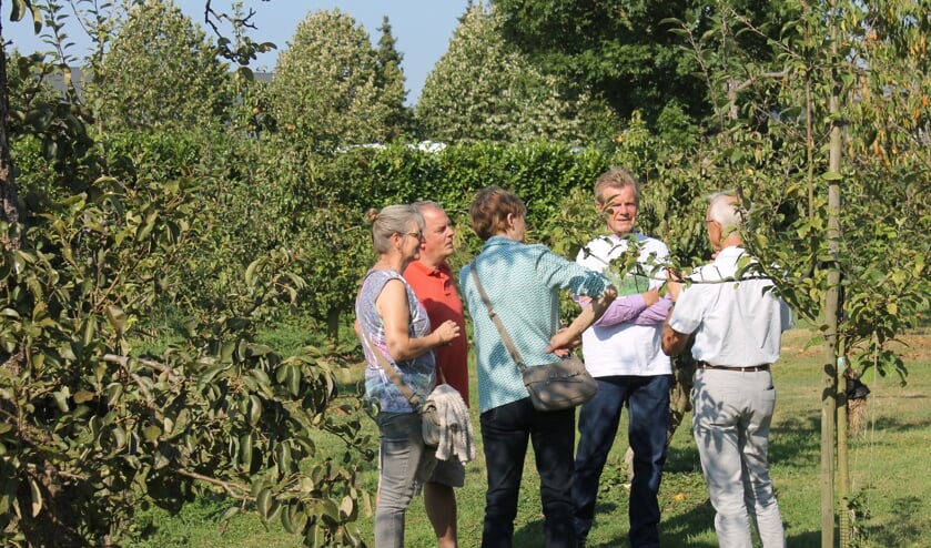 Een rondleiding door de boomgaard achter 't Blickvelt in Woensdrecht.