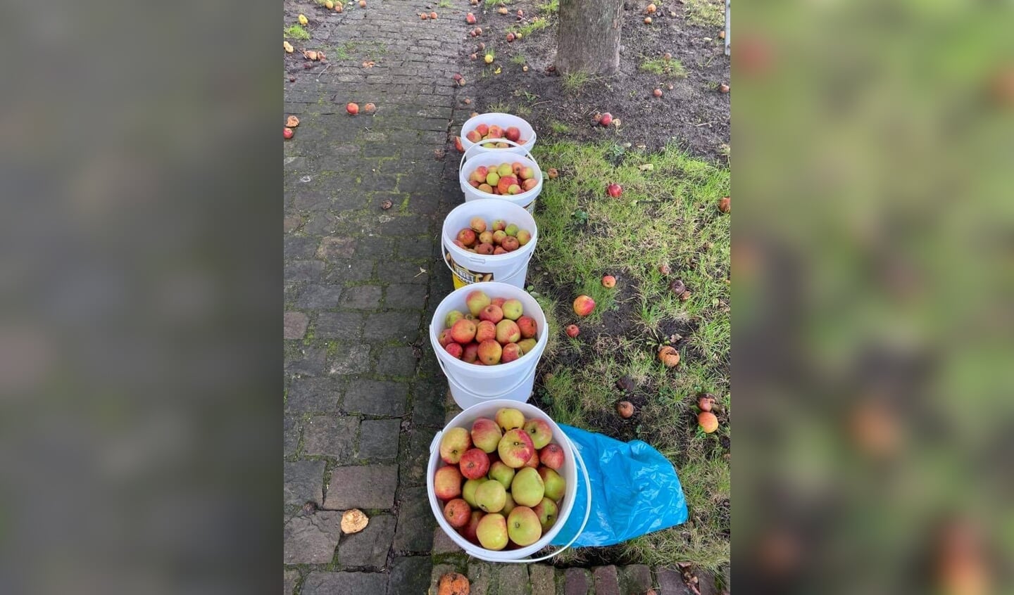 Emmers vol met appels.