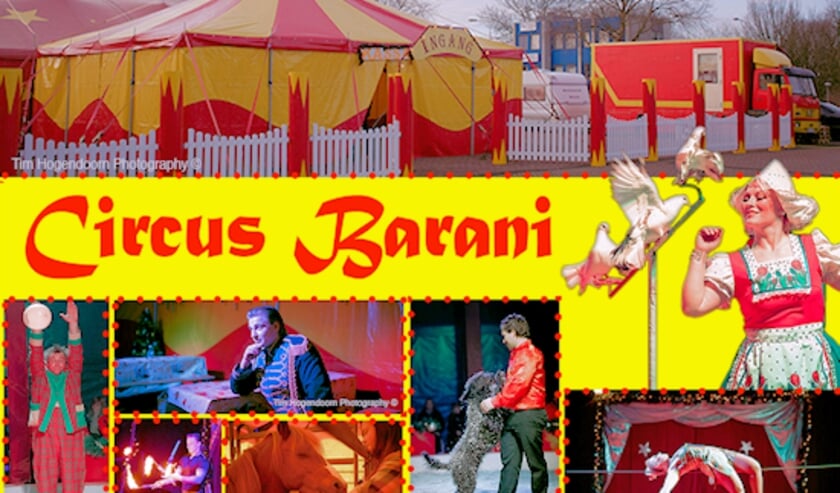 <p>Circus Barani</p>