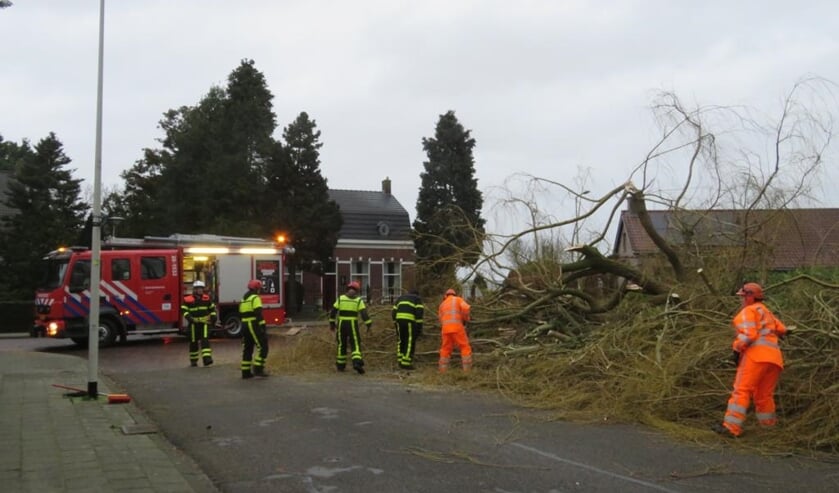 HALSTEREN - LEPELSTRAAT - Door de zware storm die zondag over ons land raasde moest een aantal oude bomen het ontgelden. In Lepelstraat werd onder andere een grote treurwilg naast het kerkhof met hulp van de brandweer van de weg verwijderd; in Halsteren ging een oude boom aan de Kastanjelaan/Zoutendamseweg tegen de vlakte. 