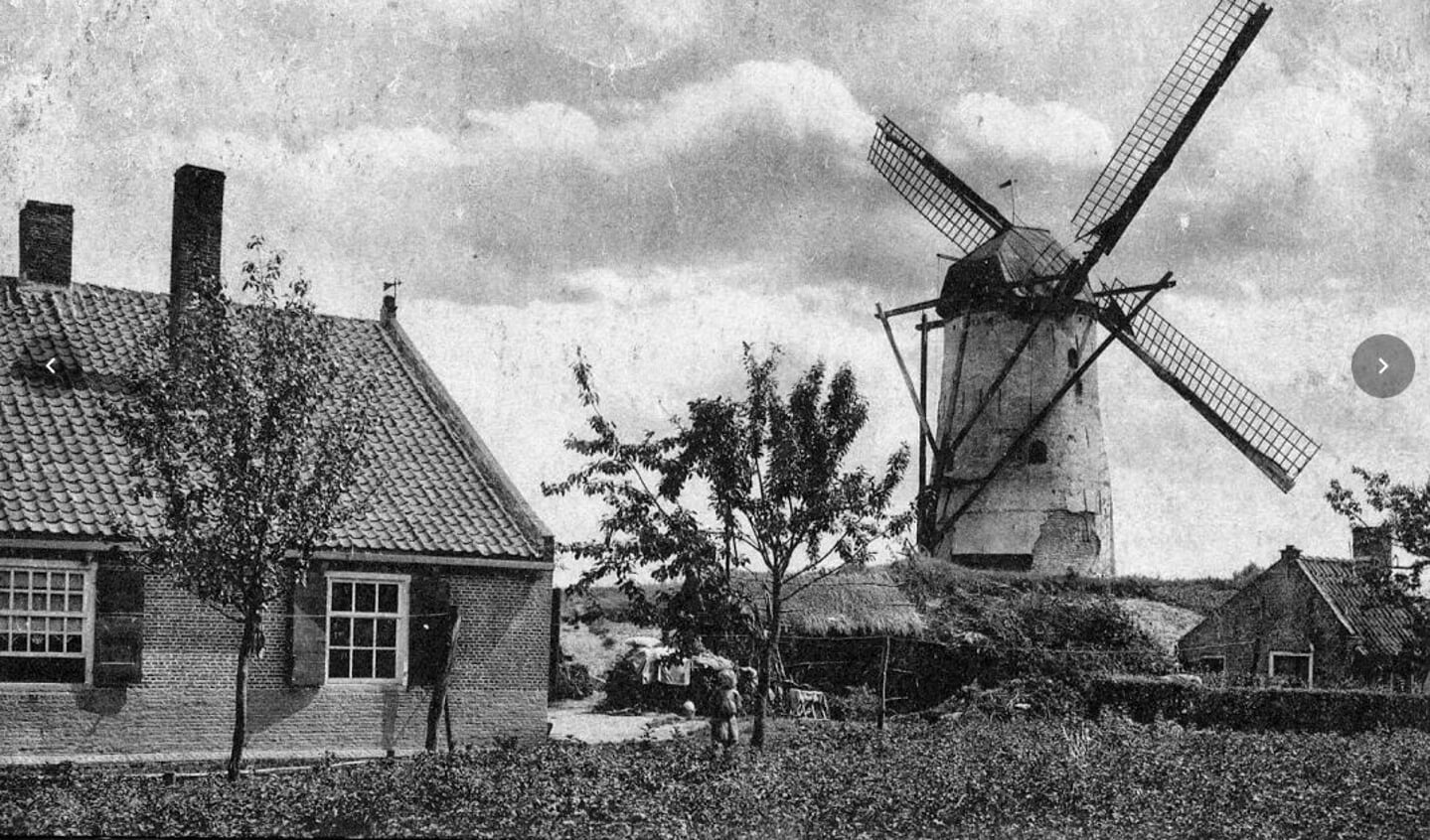 Oude foto Hoogerheide met molen