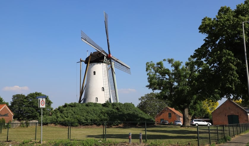 Antoniusmolen in Halsteren