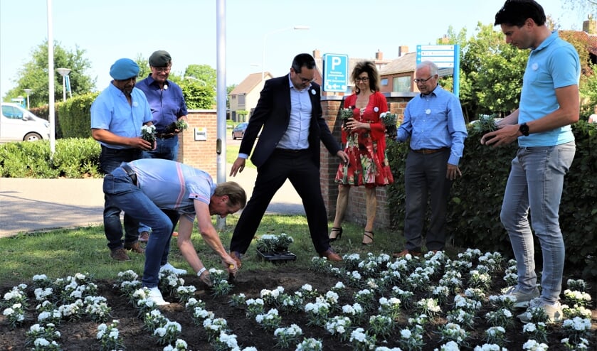 Anjers planten veteranen Woensdrecht